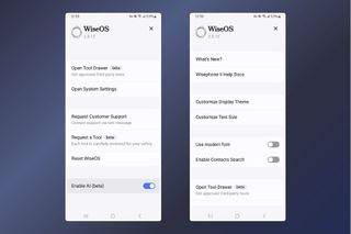 WiseOS Settings