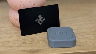 Bloom vs Brick set up side by side