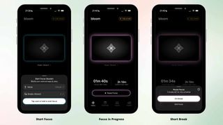 The Brick Phone app and its device